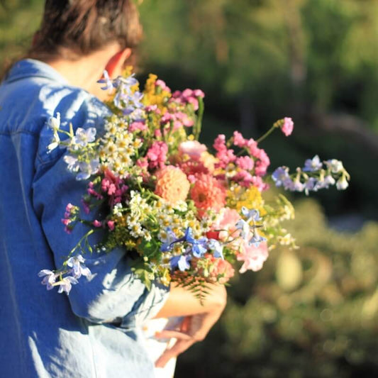 abonnement-bouquet-de-saison-mensuel