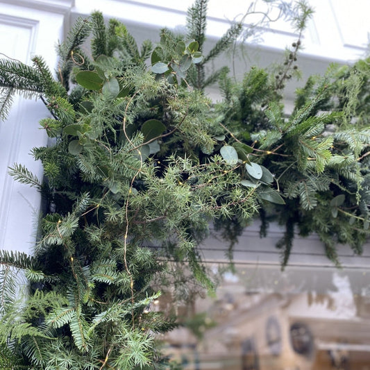décoration de vitrine pour noel à biarritz