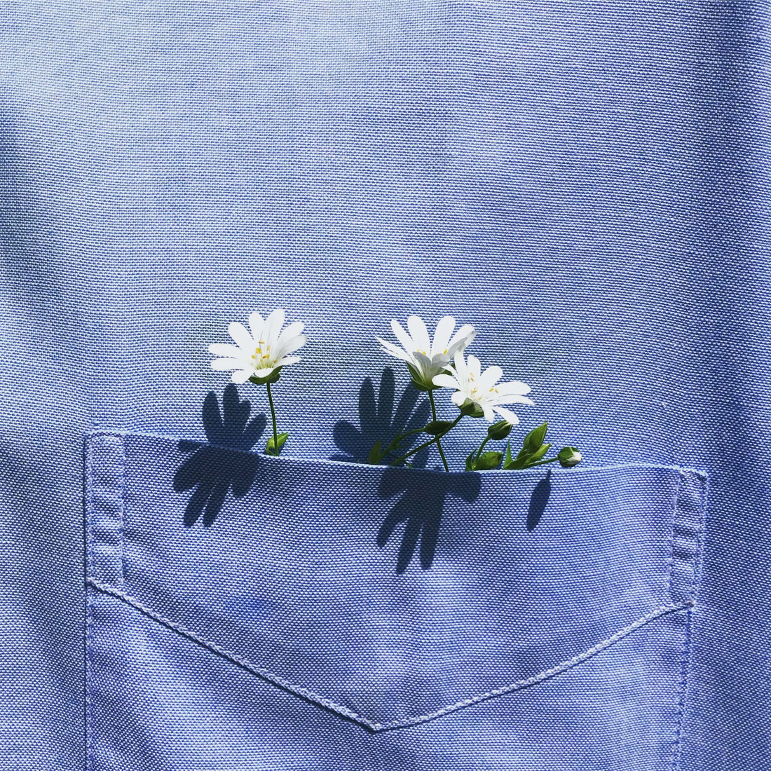 Fleuriste ecoresponsable sans mousse florale