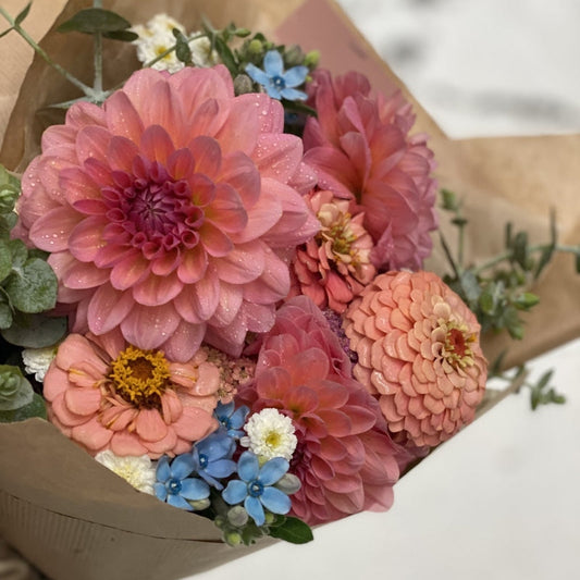 Fleurs de Saison Août - Dahlias, Hortensias & Tournesols | Cabane Studio Floral