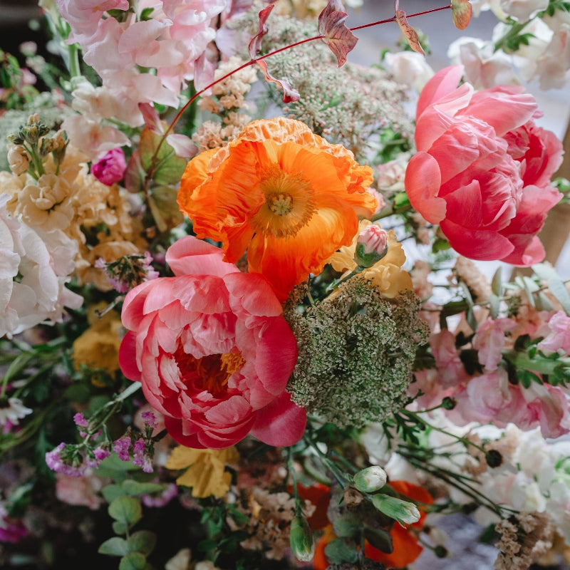 Fleurs de Saison du mois d'avril