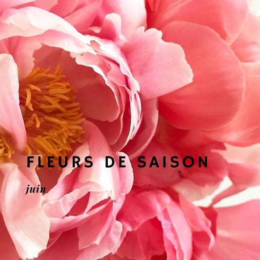 Fleurs de saison - Juin